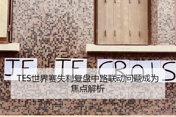 TES世界赛失利复盘中路联动问题成为焦点解析